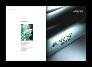 佛山品牌策劃公司 從企業(yè)策劃、形象設(shè)計到品牌設(shè)計的全案服務(wù)